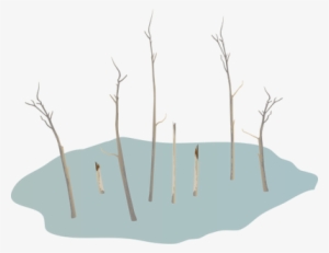 Ian Symbol Climate Change Ghost Forest - Oasis