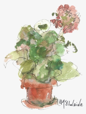 Bleed Area May Not Be Visible - Original Buspaintings Geranium Watercolor Painting