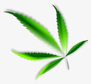 This Free Icons Png Design Of Cannabis Leaf