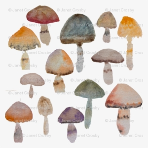 Watercolor Mushrooms - Naturals - Watercolor Painting
