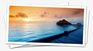 Caribbean Pavillion - Viewsonic Vx2770sml-led - 27" Ips Led Monitor