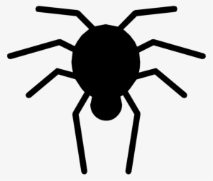 Le Dangly Spider - Insect