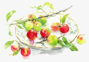 Clip Art Library Download Apples Transparent Watercolor - Marie's Watercolor