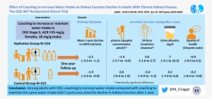 Wit-ckd Visual Abstract - Water