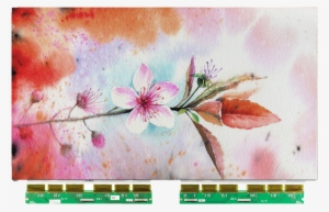 Ec312tt2 - Sie Holen Freude-pfirsich-blüten-aquarell Karte