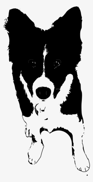 This Free Icons Png Design Of Border Collie Puppy