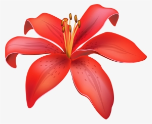 Red Lily Flower Png Clipart - Lily Clipart