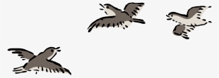 How To Set Use Birds Flying Svg Vector