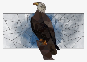 Eagle - Turkey Vulture