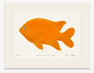 Garibaldi - Cafepress Garibaldi W Sig Rectangular Canvas Pillow