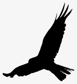 Bird Crows Silhouette Beak Feather - Bird Silhouette Png