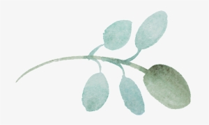 This Graphics Is Round Leaf Cartoon Transparent About - Leaf