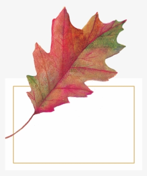 Watercolor Leaves Die-cut Place Cards 96 Ct - Caspari Watercolor Leaves Diecut Place Cards