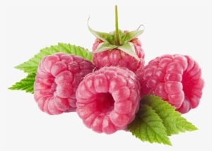 Fruit Png