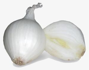 White Onion Png Image - White Onion