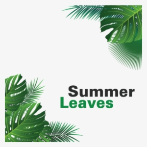 Summer Tropical Leaves Hanging, Summer Leaves, Tropical, - Portable Network Graphics