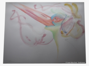 Graphite Drawing Watercolor - Drawing