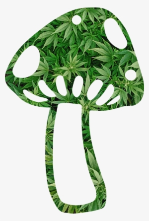 Mushroom, Shroom, Weed, Fungi, Fungus, Psychedelic - Grass