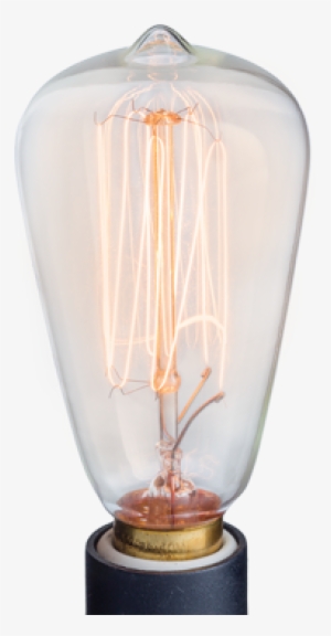 Edison Warmers Replacement Bulb - Zions Mercantile Co.