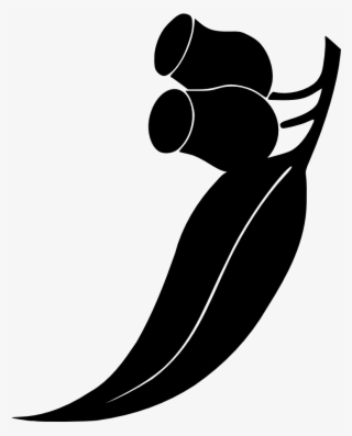 Gum Trees And Nuts - Gum Leaf Clip Art