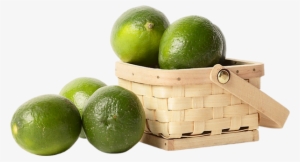 Tube Fruit - Lime