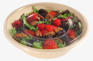 Molded Fiber Packaging Is Becoming Very Popular As - Bowl