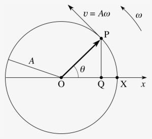 Pplato - Shm Phasor Diagram