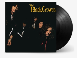 Black Crowes Shake Your Money Maker