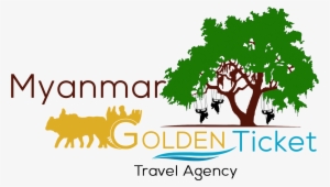 Best Local Travel Agency In Yangon - Live Oak Tree Silhouette