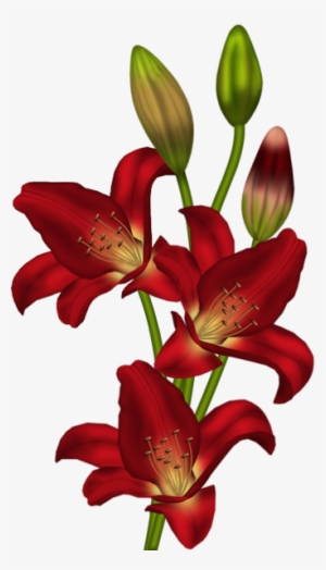 Tubes Fleurs - Page - Clip Art Flower Stargazer