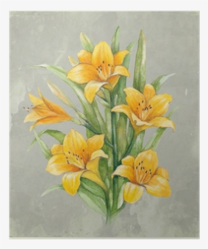 Watercolor Illustration Of Lily Flower - Watercolor Painting