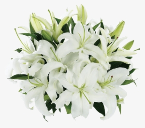Tight Bouquet Of Lilies - Fresh Lily Flowers