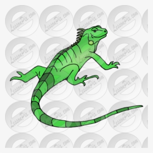 Collection Of Free Iguana Drawing Zoo Animal Download - Clip Art