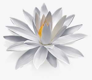 Go To Image - (16+) Обж Для Взрослых