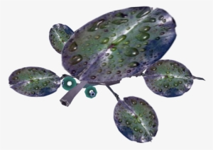 Skitter Lily - Portable Network Graphics