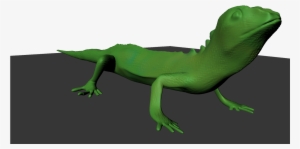 The Green Lizard Lizard - Carolina Anole
