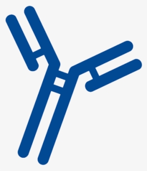 Antibody - School