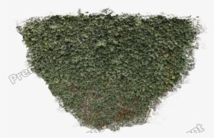 Plants Decals - Texture Mapping