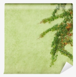 Green Ivy On Old Grunge Antique Paper Texture Wall - Paper