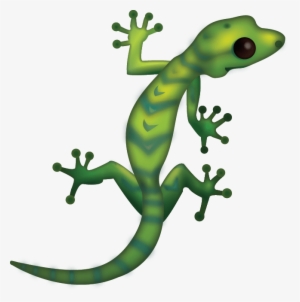 Transparent Background Lizard Clipart