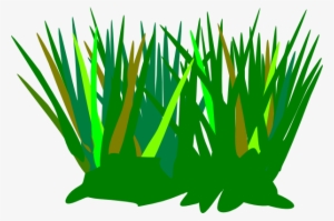 Green Tuft Clip Art At Clker Com - Grass Tuft Clipart