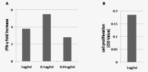 Pd1 / Pdcd1 / Cd279 Neutralizing Antibody Images - Programmed Cell Death Protein 1