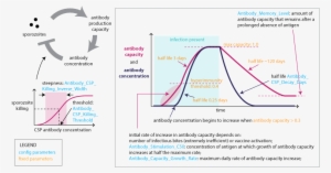 Images/malaria Infection Immunity Anti Csp Immunity - Malaria Immunity