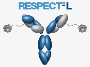 Respecttm-l - Antibody-drug Conjugate