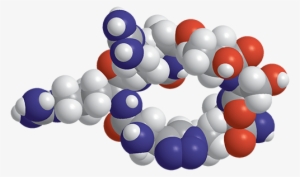 Peptide
