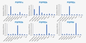 Isoform-specificity Of The Fgfr Antibody Panel - Diagram