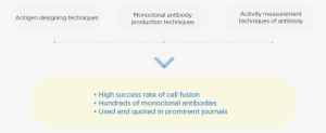 What Is A Monoclonal Antibody - Atgen