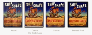 Ship Shape - Flyer