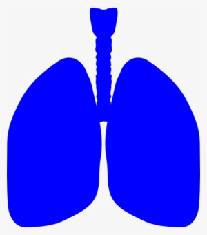 Lung Patient Celebration Image Svg Clip Arts 522 X