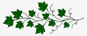 Svg Transparent Download Clipart Vines - Clip Art Vine